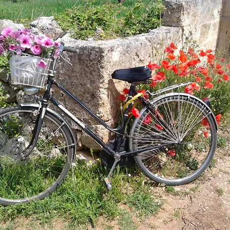 San Lorenzo Conversano