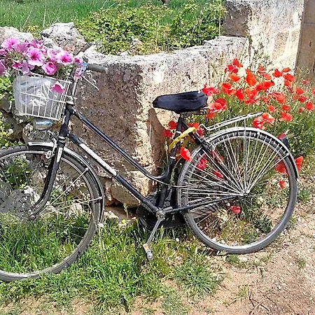 Bed & Breakfast San Lorenzo 4*