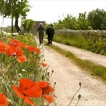 Bed & Breakfast San Lorenzo 4*