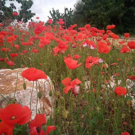 San Lorenzo לינה וארוחת בוקר 4*