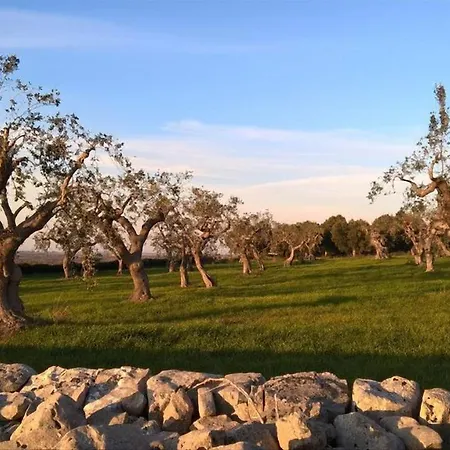 San Lorenzo קונברסאנו