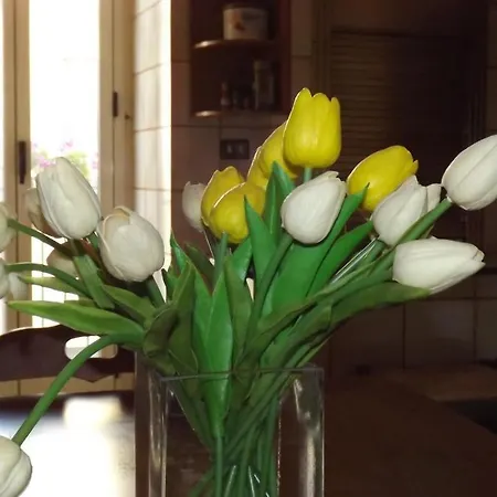 San Lorenzo לינה וארוחת בוקר