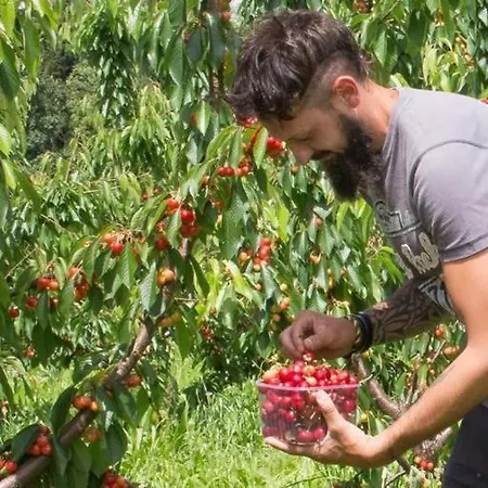 San Lorenzo Отель типа 