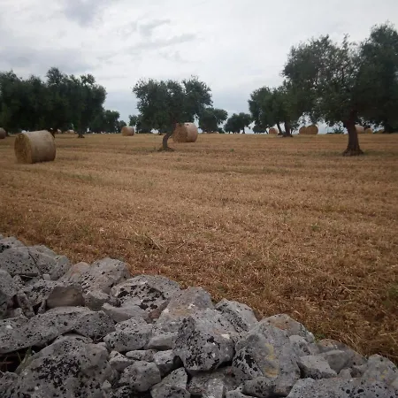 Bed and breakfast San Lorenzo Conversano